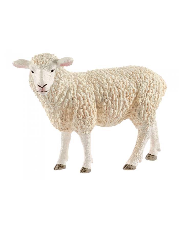 Schleich 13882 Owca (17075) główny