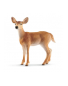 Schleich 14819 Mulak białoogonowy - nr 2