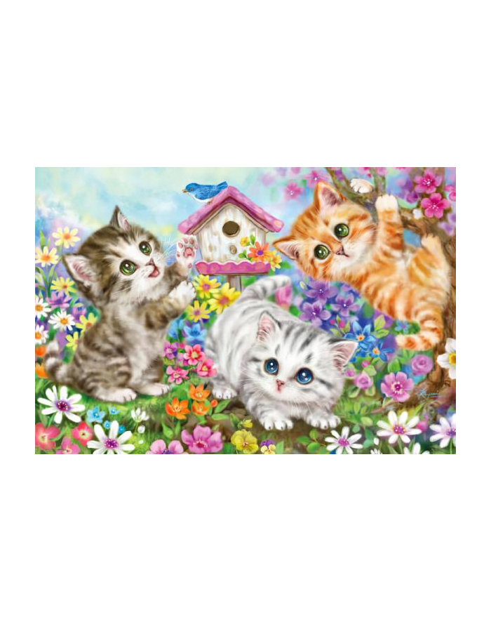 norimpex Diamentowa mozaika Trzy wesołe kotki w ogrodzie 30x40cm 1008299 główny