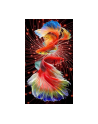 norimpex Diamentowa mozaika Dwie czerwone ryby 30x40cm 2000155 - nr 1
