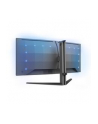 philips Monitor 34 cale zakrzywiony Evnia 34M2C6500 QD OLED - nr 65