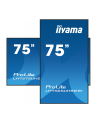 iiyama Monitor 75 cali LH7565UHSB-B1, 24/7, IPS, ANDROID 11, 4K, 800cd - nr 50