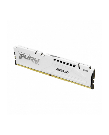 kingston Pamięć DDR5 Fury Beast 32GB(1*32GB)/6400 CL32 EXPO biała