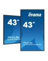 iiyama Monitor 43 cale LH4365UHSB-B1 24/7, IPS, ANDROID 11, 4K, 800cd - nr 54