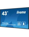 iiyama Monitor 43 cale LH4365UHSB-B1 24/7, IPS, ANDROID 11, 4K, 800cd - nr 83