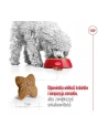 Royal Canin SHN Mini Adult 4kg - nr 5