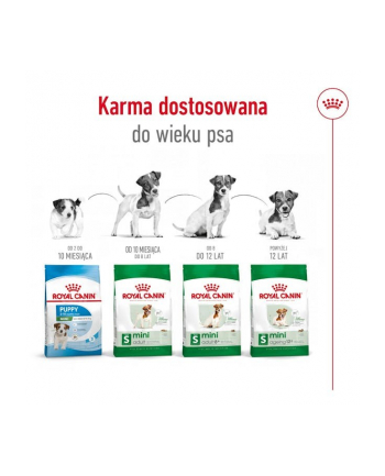 Royal Canin SHN Mini Adult 4kg