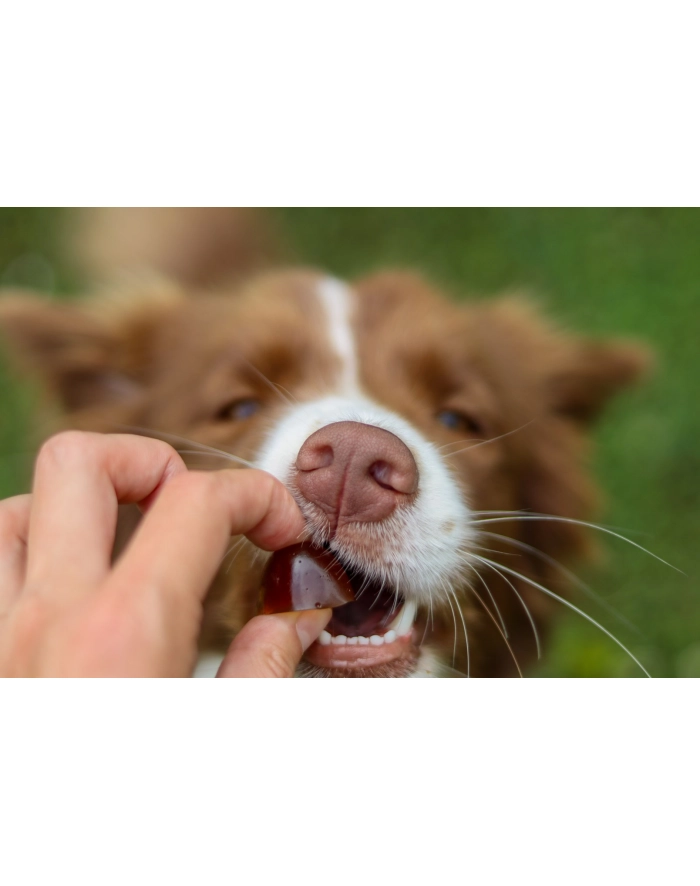 contipro GELOREN Small Dog Suplement dla psa  - 180g główny