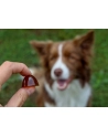 contipro GELOREN Small Dog Suplement dla psa  - 180g - nr 5