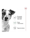 ROYAL CANIN Mini Adult 2kg - nr 6