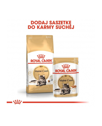 ROYAL CANIN FBN Maine Coon 12x85g
