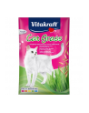 VITAKRAFT CAT GRASS nasiona trawy przysmak dla kota 50g - nr 1