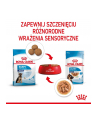 ROYAL CANIN SHN Maxi Puppy w sosie 10X140G - nr 6