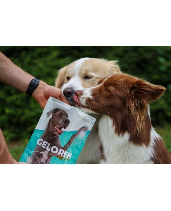 contipro GELOREN Large Dog Suplement dla psa - 420g