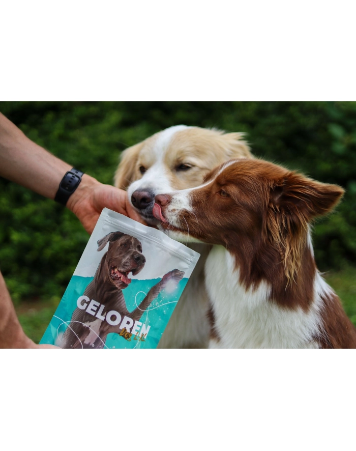 contipro GELOREN Large Dog Suplement dla psa  - 420g główny