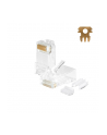 Wtyk RJ45 UTP kat. 6A, drut, Netrack (100 szt) - nr 1