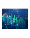 Philips Monitor X-Line 65Bdl6005X 24/7/Uhd/500Cd/Video-Wall (Speditionsversand) (65BDL6005X00) - nr 4