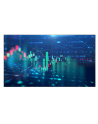 Philips Monitor X-Line 65Bdl6005X 24/7/Uhd/500Cd/Video-Wall (Speditionsversand) (65BDL6005X00) - nr 5