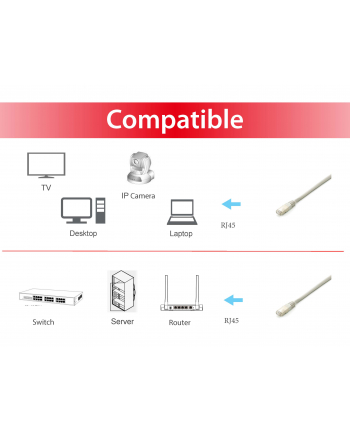 Equip Patch Cat6A 10x/Box S/FTP 2xRJ45 0.25m szary LSZH (645603)