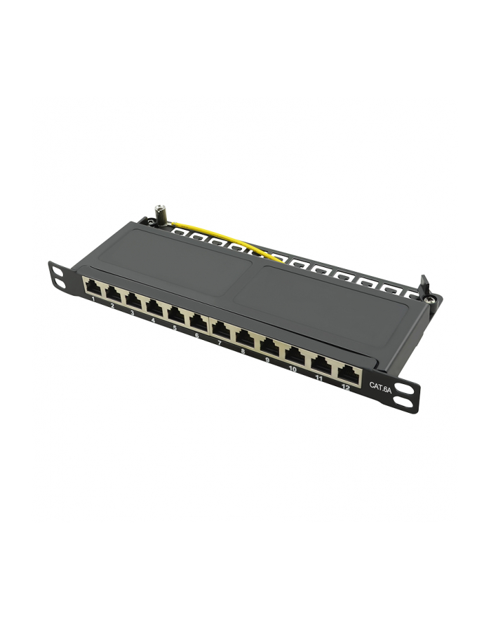 Logilink Patch Panel 12 Portów Cat 6A 1 Szt. (NP0066) główny