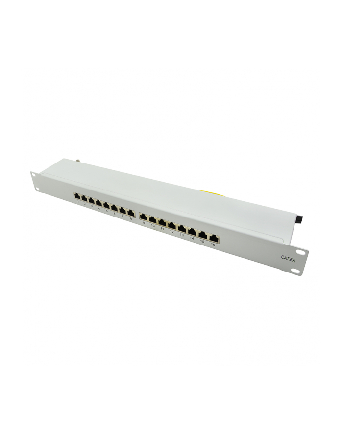 Logilink Patch Panel 16 Portów Cat 6A 1 Szt. (NP0075) główny