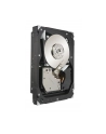 SEAGATE 300GB 15000RPM SAS 16MB ST3300657SS - nr 16