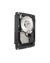 SEAGATE 300GB 15000RPM SAS 16MB ST3300657SS - nr 27