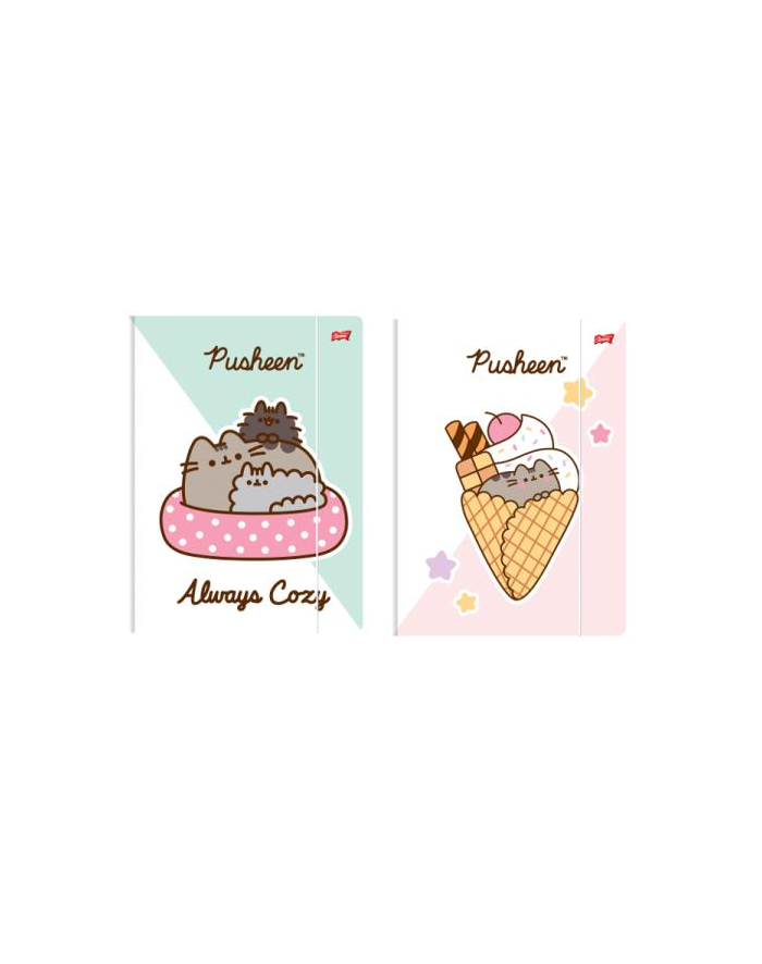 majewski Teczka z gumką A4 300g/m2 Pusheen główny
