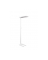 Maul Lampa stojąca LED 8258402 srebrny, biały 1 szt. MAULJAVAL - nr 7