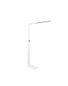 Maul Lampa stojąca LED 8259202 81 W ciepła biel, białe światło dzienne 91.14 lm (MAULSIRIUS) - nr 1