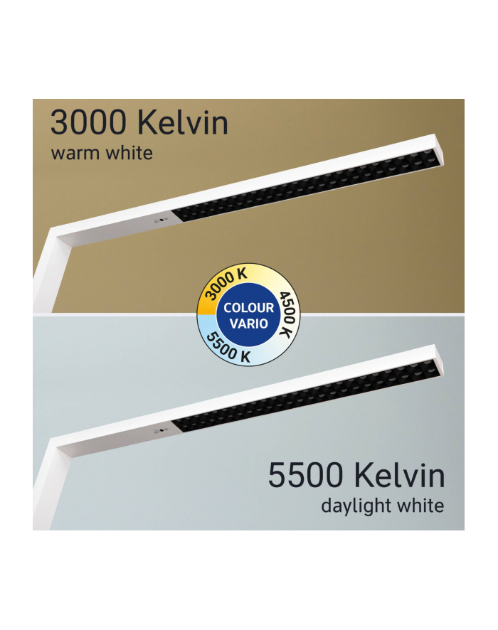 Maul Lampa stojąca LED 8259202 81 W ciepła biel, białe światło dzienne 91.14 lm (MAULSIRIUS) główny