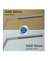 Maul Lampa stojąca LED z czujnikiem ruchu 8259295 srebrny 1 szt. MAULSIRIUS - nr 3