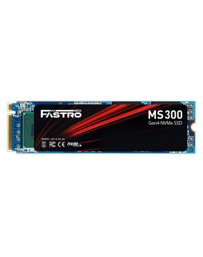 Megafastro   MS300 1TB M.2 2280 PCI-E x4 Gen4 NVMe (MS300100TTI) główny