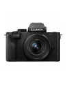 Panasonic DC-G100DV Lumix + H-FS12032 12-32mm, F3.5-5.6 + stativ grip SHGR2 - nr 27