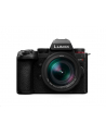 Panasonic Lumix G9II + Leica 12-60mm f/2.8-4 ASPH. + Akumulator Panasonic BLK22 - nr 5