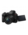 Panasonic Lumix G9II + 12-60mm f/3.5-5.6 Power O.I.S. + Akumulator Panasonic BLK22 - nr 10
