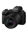 Panasonic Lumix S5II + 20-60mm f/3.5-5.6 - nr 13