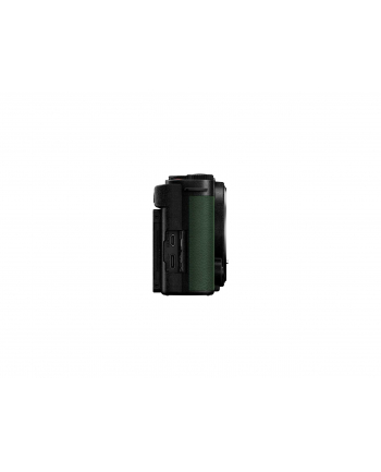 Aparat cyfrowy Panasonic LUMIX S9 Dark Olive body