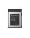 Sandisk Pro-Cinema - Flash - 640GB - Cfexpress Type B - nr 1