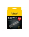 Intenso MI500 500GB, SSD (PCIe 4.0 x4, NVMe 1.4, M.2 2280) - nr 32