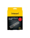 Intenso MI500 2TB, SSD (PCIe 4.0 x4, NVMe 1.4, M.2 2280) - nr 9