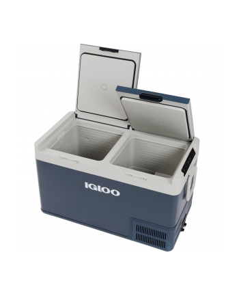 Igloo ICF80DZ, cool box (blue)