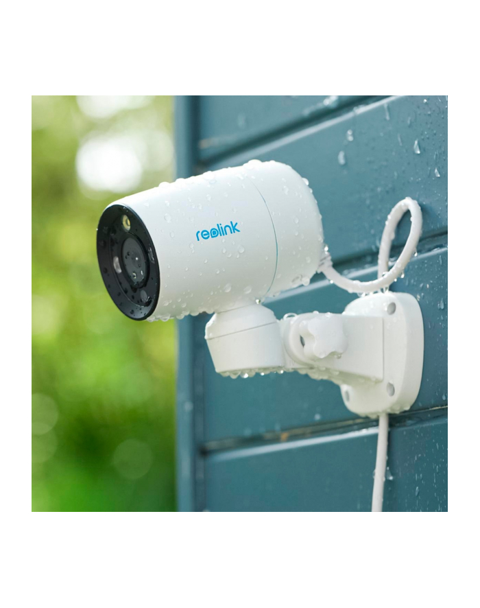 Reolink P330P, surveillance camera (Kolor: BIAŁY/Kolor: CZARNY) główny