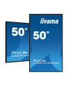 iiyama Monitor 50 cali LH5041UHS-B2 VA,4K,24/7,LAN,USB,HDMI - nr 80