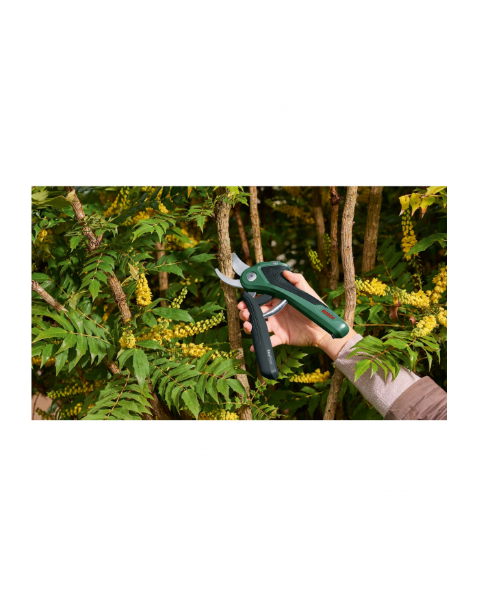 bosch powertools Bosch cordless secateurs EasyPrune Classic, 3.6 volts (green/Kolor: CZARNY, reduces hand strain) główny
