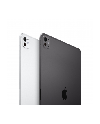 Apple iPad Pro 11'' (512 GB), tablet PC (silver, 5G / Gen 5 / 2024)