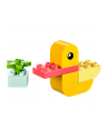 LEGO 30673 DUPLO My First Duck, construction toy - nr 2