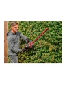 Einhell cordless hedge trimmer GE-CH 36/61 Li-Solo, 36Volt (2x18V) (red/Kolor: CZARNY, without battery and charger) - nr 8