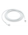 apple Kabel USB-C TO LIGHTNING (2M) - nr 14