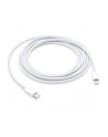 apple Kabel USB-C TO LIGHTNING (2M) - nr 6